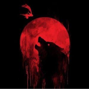 Meet your Posher, Moeez